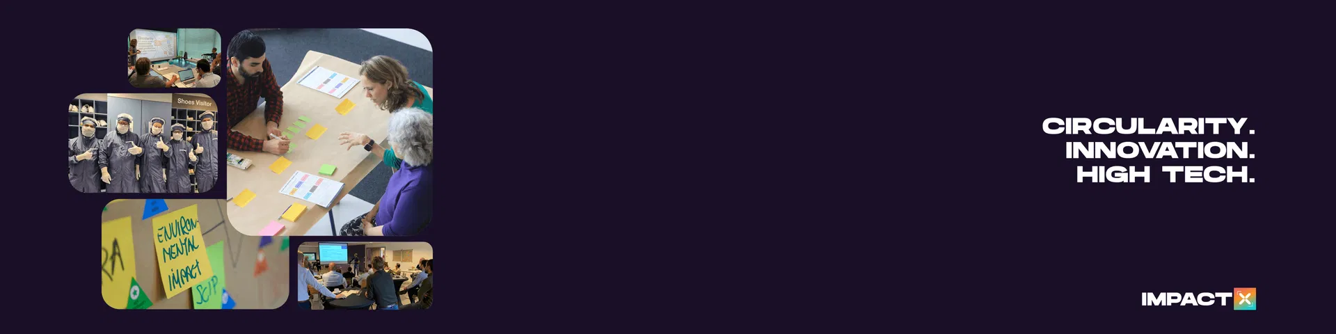 ImpactX culture