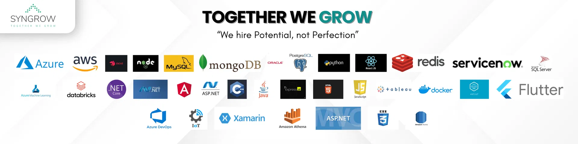 SynGrow Consulting Service Pvt Ltd culture